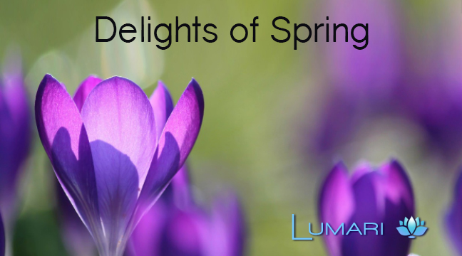 The Delights of Spring